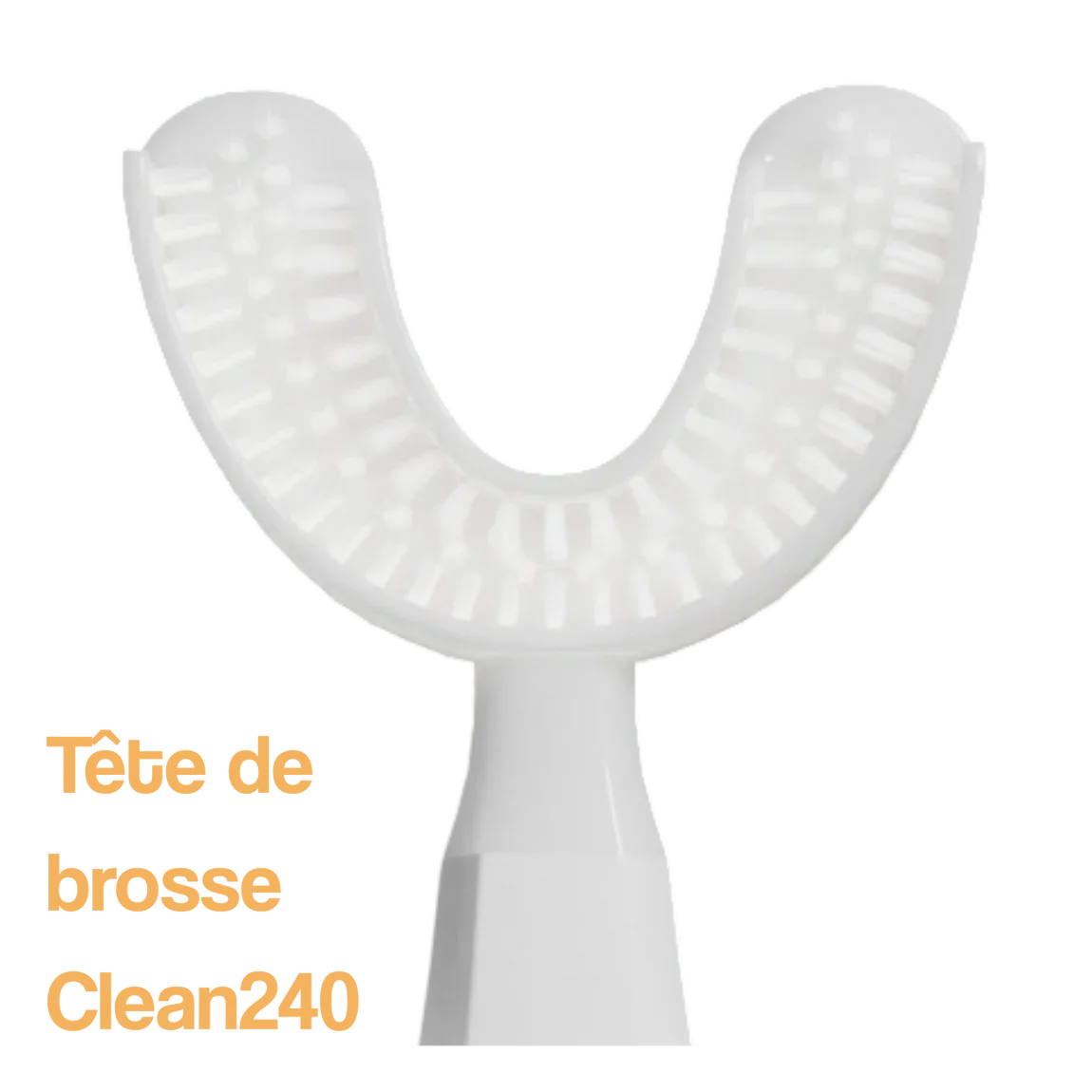 Tête de brosse Clean240