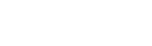 Y-Brush by Biotech Dental